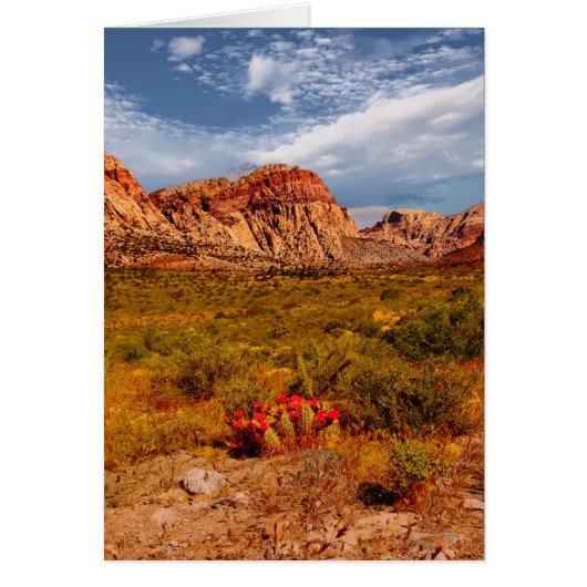 Cactus dans le désert, sud-ouest, vierge à l'intér (Devant)