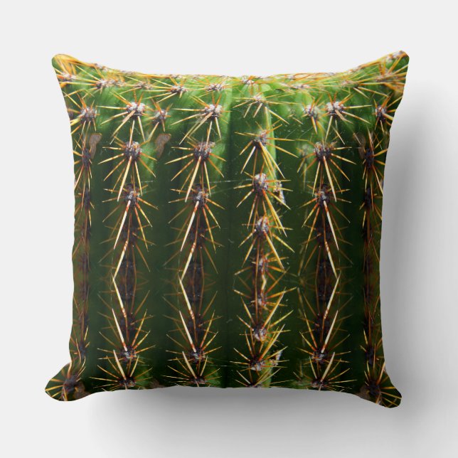 Cactus de baril de coussin de Pin (Recto)