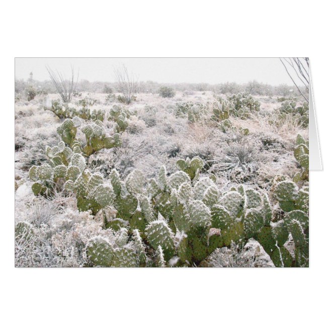 Cactus de neige (Devant horizontal)