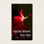 Cactus de Noël rose Fleur Photographie (Devant)