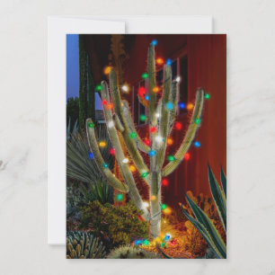 Cactus de Noël sur une carte de vacances à plat