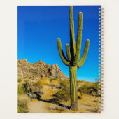 Cactus debout (Dos)