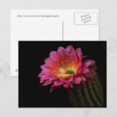 Cactus Delight Blooming Briefkaart (Voorkant / Achterkant)