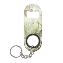 Cactus Desert Flesopener