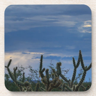 Cactus Desert Monsoon Bier Onderzetter