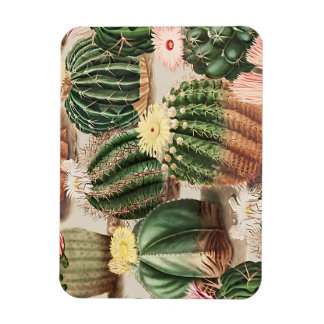 Cactus Design Flexibele Fotomagneet Magneet