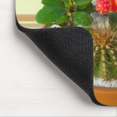 Cactus Dish Garden #1 Mousepad Muismat (Hoek)