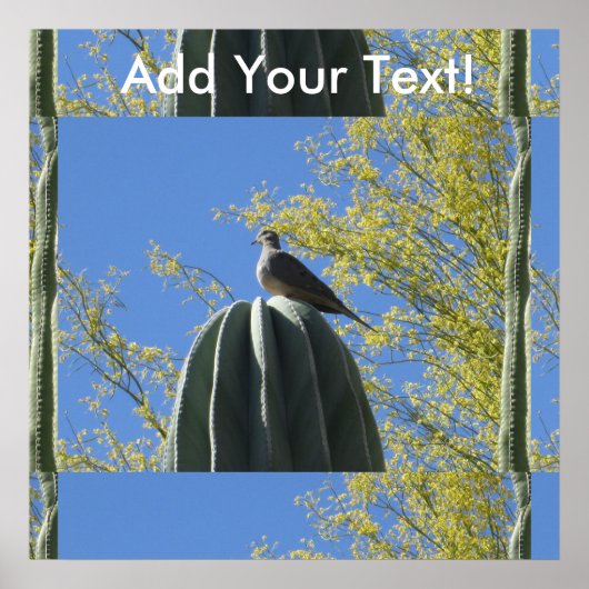 Cactus Dove Poster (Voorkant)