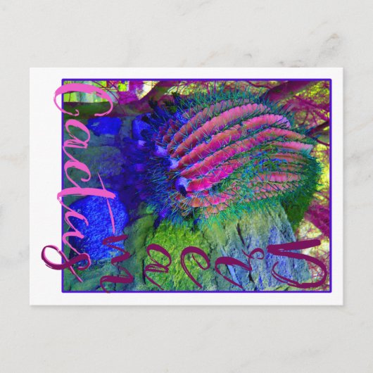 Cactus Dreams neon cactus Southwest briefkaart (Voorkant)