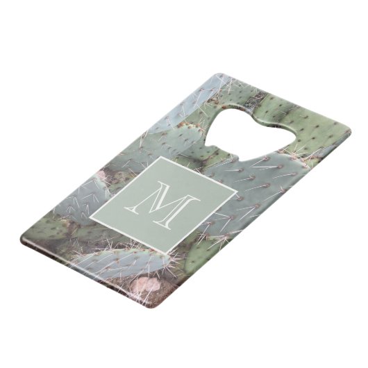 Cactus du désert (Dos Angle)