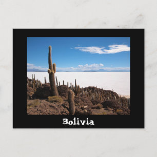 Cactus en Salar de Uyuni text briefkaart