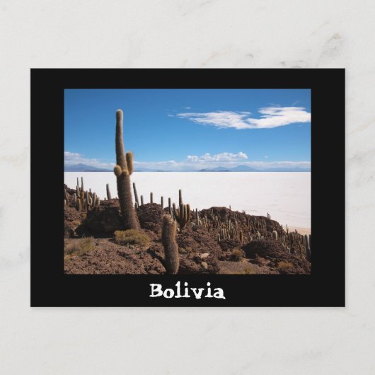 Cactus en Salar de Uyuni text briefkaart (Voorkant)