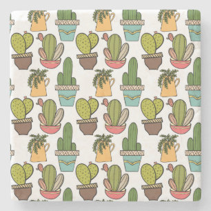 Cactus en successen binnenshuis in potten stenen onderzetter