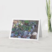 Cactus en Succulent Plant Rockery Kaart (Voorkant)
