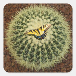 Cactus en vlinder vierkante sticker