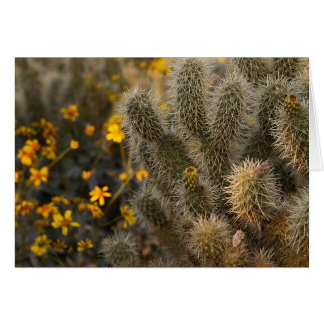 Cactus en wilde bloemen (Voorkant Horizontaal)