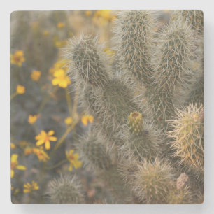 cactus en wilde bloemen stenen onderzetter
