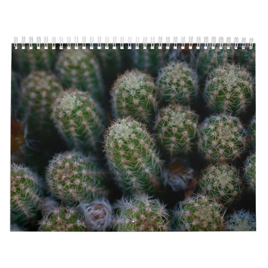 Cactus-familie Kalender (Hoes)