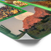 Cactus Film Collage Poster (Hoek)