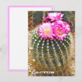 Cactus: Flat Card (Voorkant / Achterkant)