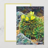 Cactus: Flat Card (Voorkant / Achterkant)