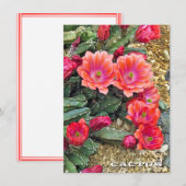 Cactus: Flat Card (Voorkant / Achterkant)