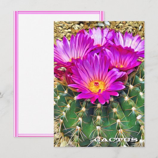 Cactus: Flat Card (Voorkant / Achterkant)
