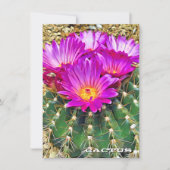 Cactus: Flat Card (Voorkant)