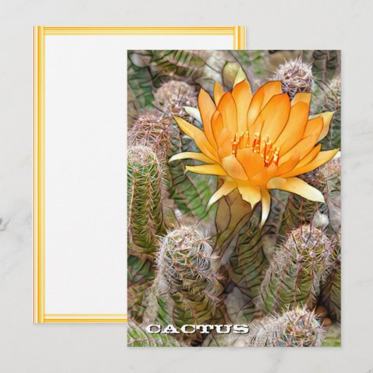 Cactus: Flat Card (Voorkant / Achterkant)