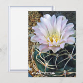 Cactus: Flat Card (Voorkant / Achterkant)