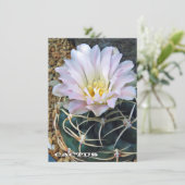 Cactus: Flat Card (Staand voorkant)