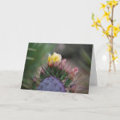 Cactus Flower 7 Kaart (Gele Bloem)