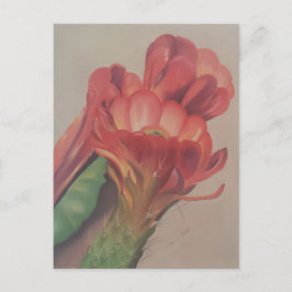 Cactus Flower Briefkaart