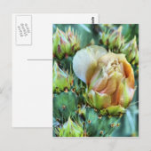 Cactus Flower Briefkaart (Voorkant / Achterkant)