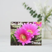 Cactus flower Del Rio Texas Briefkaart (Staand voorkant)