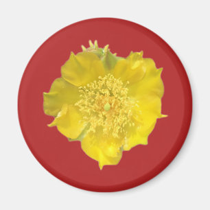 Cactus Flower Magneet