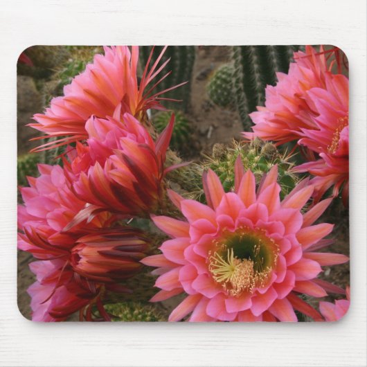 Cactus flower mousepad muismat (Voorkant)