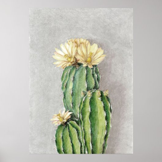 Cactus Flower Painting Poster (Voorkant)