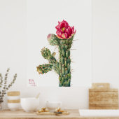 Cactus Flower Poster (Keuken)
