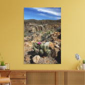Cactus Flowering Canvas Afdruk (Insitu (Woonkamer))