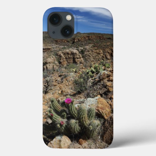Cactus Flowering Case-Mate iPhone Case (Achterkant)