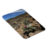 Cactus Flowering Magneet (Rechterzijde)