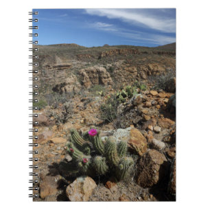 Cactus Flowering Notitieboek