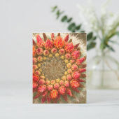 Cactus Flowers 016a Briefkaart (Staand voorkant)