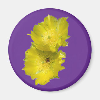 Cactus Flowers Magneet