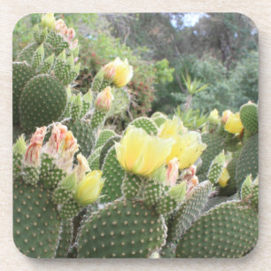 Cactus Flowers Onderzetters