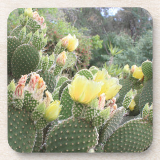 Cactus Flowers Onderzetters