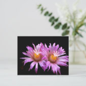 Cactus Flowers op Briefkaart (Staand voorkant)