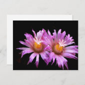 Cactus Flowers op Briefkaart (Voorkant / Achterkant)