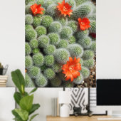 Cactus Flowers Poster (Thuiskantoor)